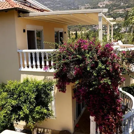 Tepe Villa *